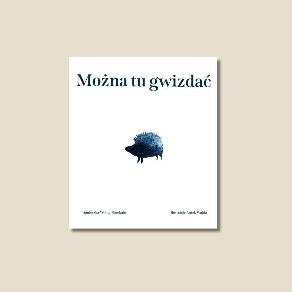 Można tu gwizdać